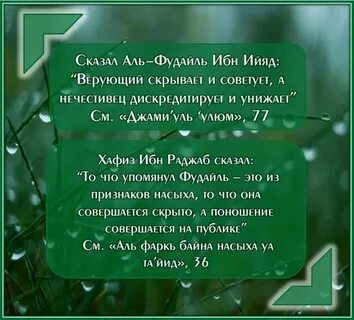 Сказал ибн