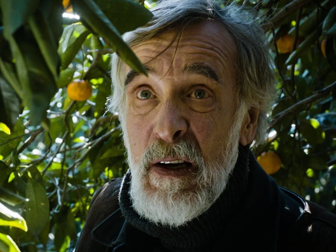 жак элиасен франсуа мари паганель. эстонский актер в образе паганеля 7 букв. эстонский актер в образе паганеля 7 букв. паганель дети капитана гранта. лембит ульфсак дети капитана гранта.