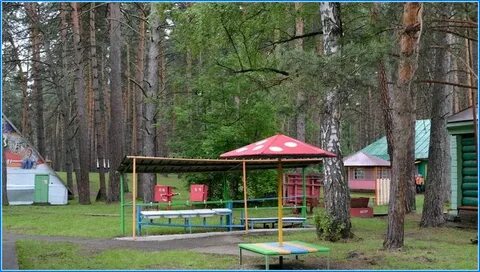 Лагерь медвежонок