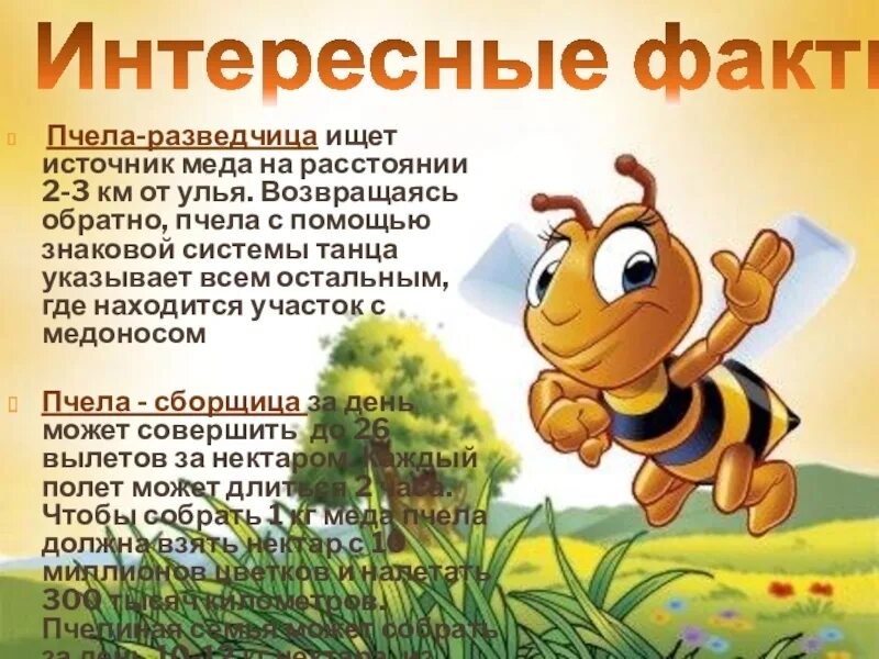 Текст про пчел. Интересные факты о пчелах. Пчела для детей. О пчелах детям интересно. Интересные факты о пчелах для дошкольников.
