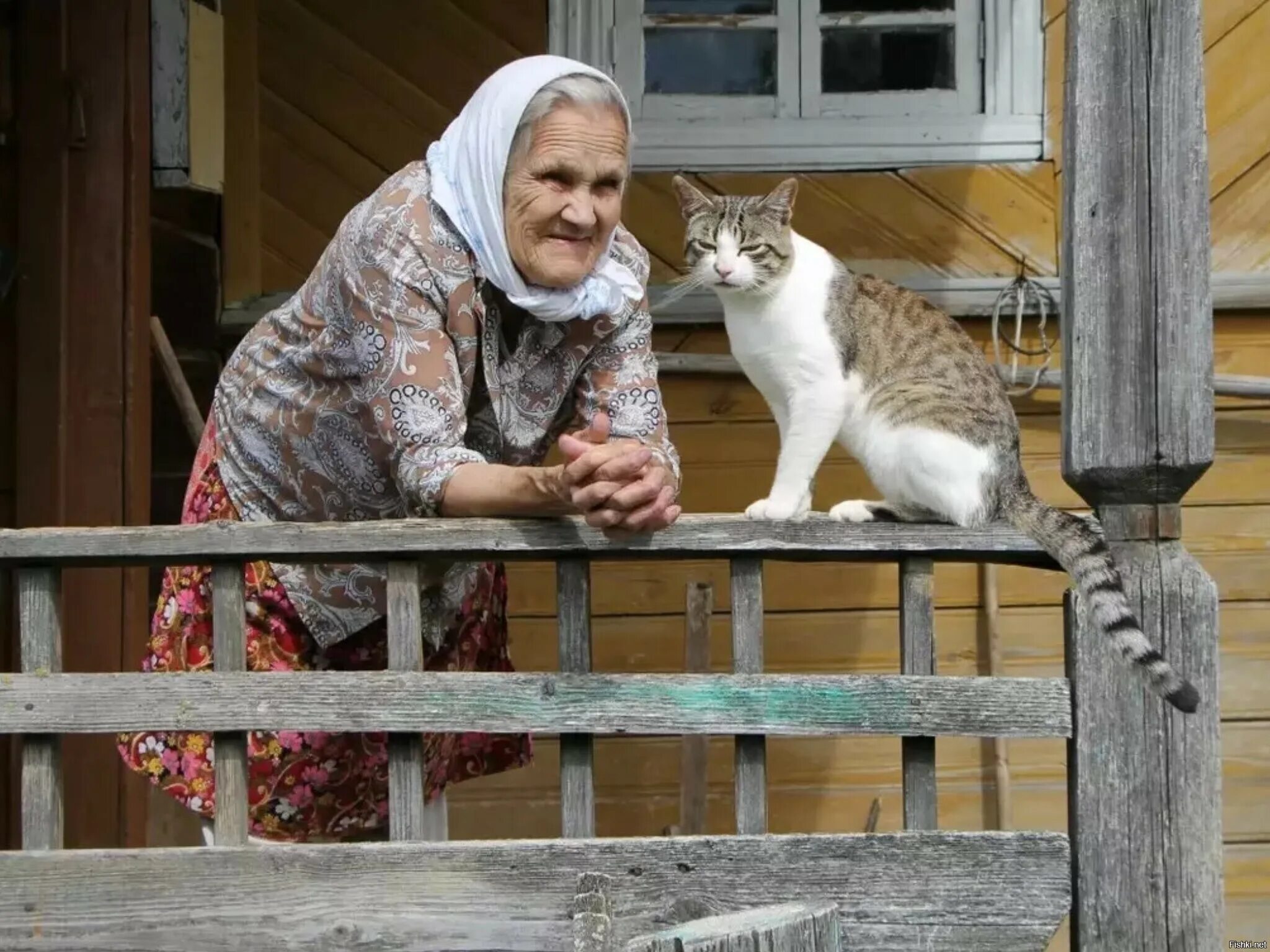 Включи кошку маму. Деревенская кошка. Деревенская бабушка. Кошка в деревне. Старушка в деревне.