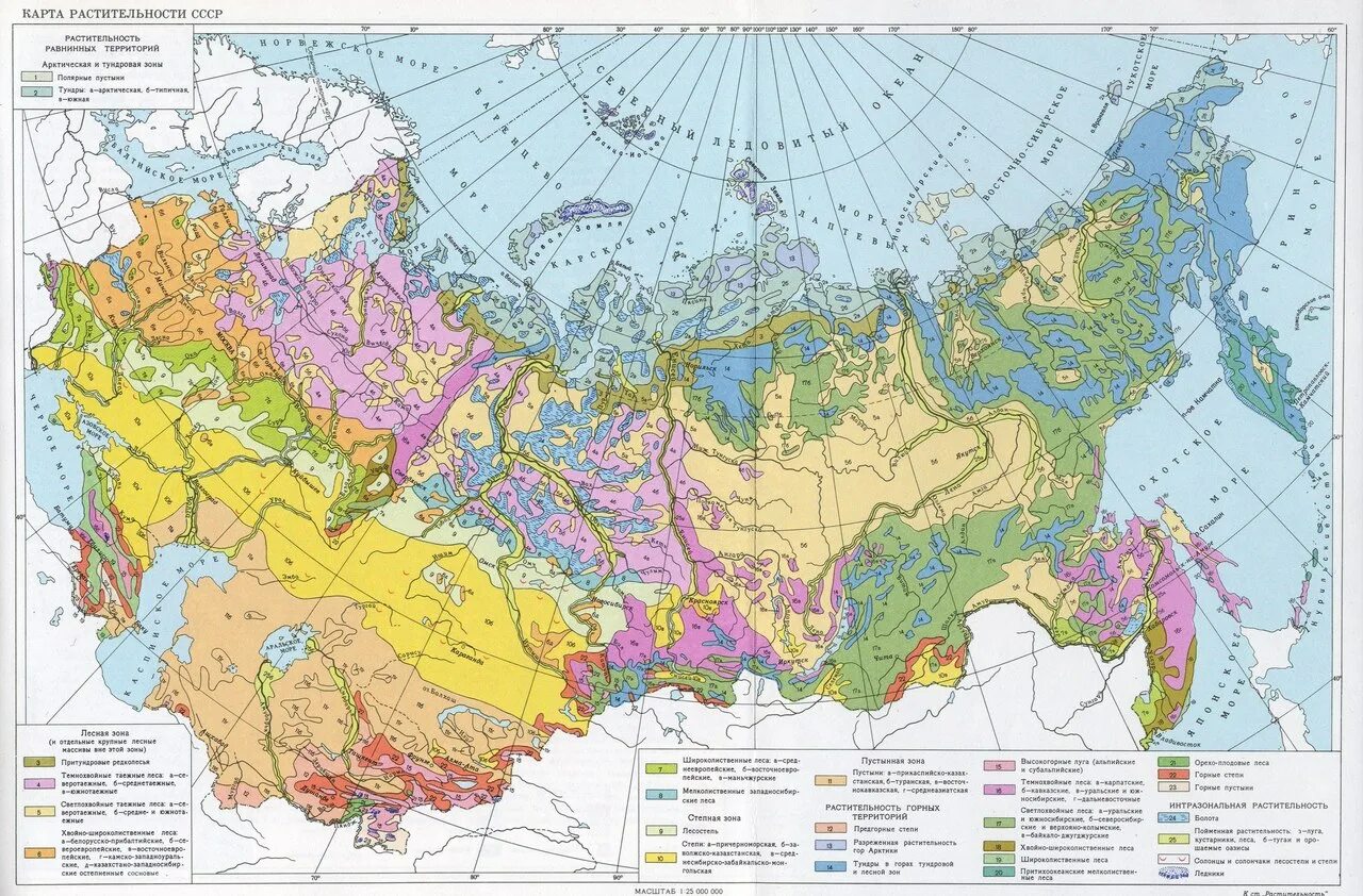 Природные зоны центра россии