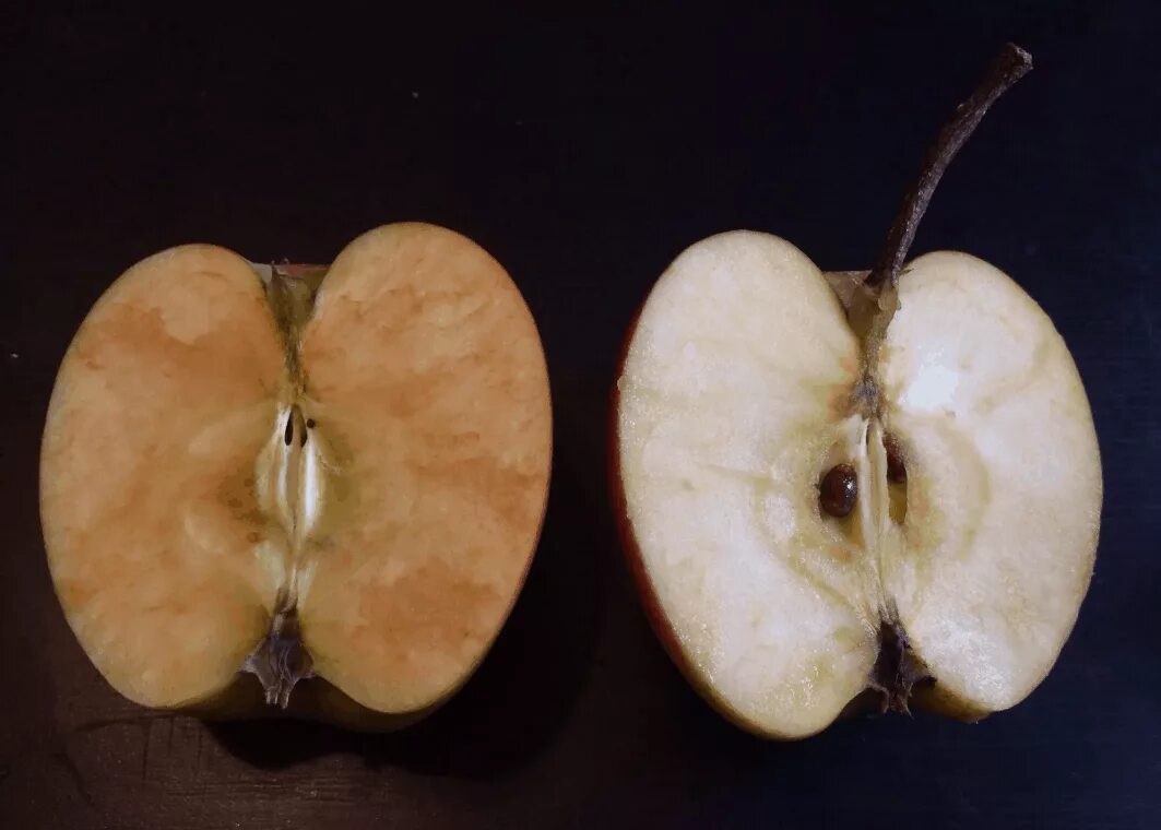 Почему появляется яблоко. Яблоко в разрезе. Срез яблока. Потемнение яблока. Побурение мякоти яблок.