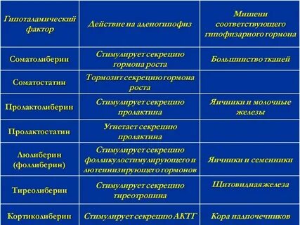 Морфофункциональная характеристика эндокринных желез