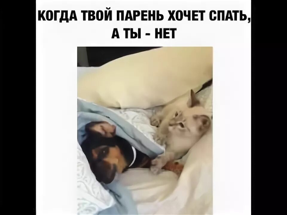 Когда твой парень хочет спать а ты нет. Парень хочет спать. Мальчикткогда хочет САТБ.