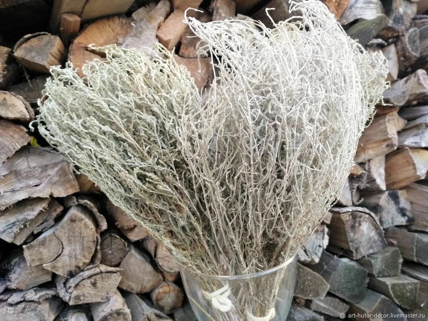 Полынь древовидная артемизия. Полынь стеллера moris form. Полынь холодная. Полынь мелколистная. Полынь обыкновенная препараты.