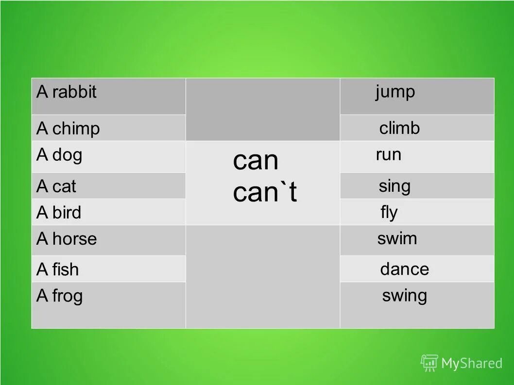 A chimp can sing. Глагол can в английском языке. Can тема в английском. Can и can't в английском языке. Глагол can в английском языке упражнения.