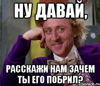 Ну вот чего ты добился. Ну зачем ты это сделал. Зачем ты ему показал басков мем. Мемы с кротом. Коты мемы.