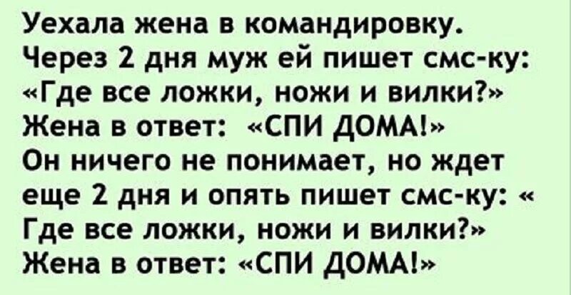 Муж уехал в командировку прикольные. Уехал муж в командировку анекдот. Жена уехала в командировку. Анекдоты про мужа в командировке. Муж вернулся через месяц