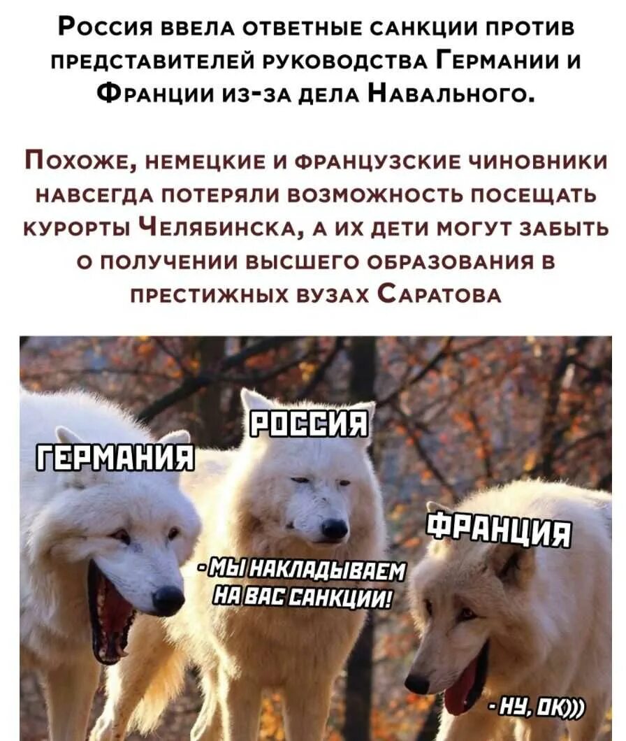 Почему ввели санкции. Ответные санкции. санкции против россии. россия ввела ответные санкции. мемы про ответные санкции.