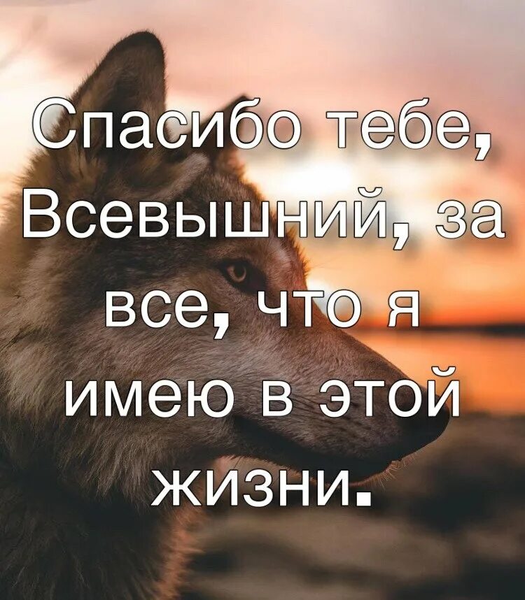 Будьте благодарны за то что имеете