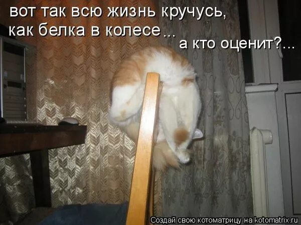Как бы не крутилась старалась