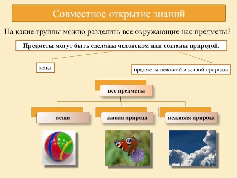 Были разделены на три группы. На какие группы можно разделить. Окружающий мир понятие. Термины окружающий мир. Деление на группы.