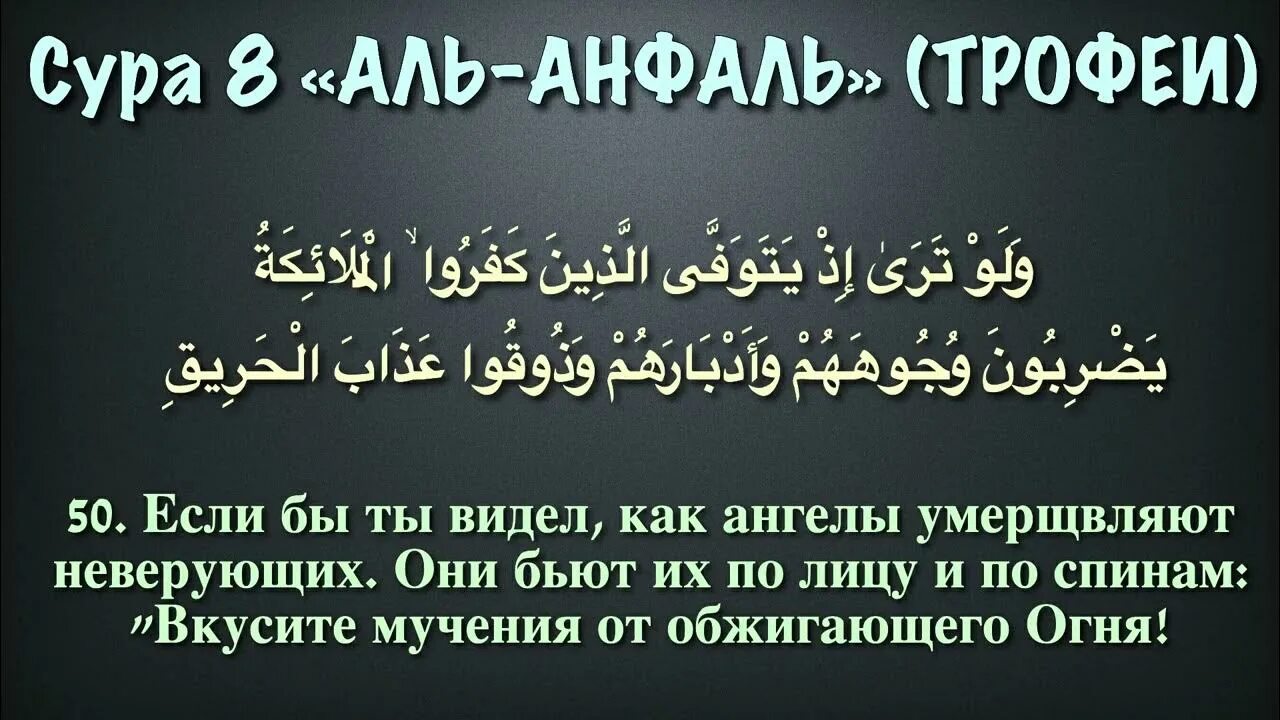 Сура 8. Сура Анфаль. Сура трофеи. Сура Аль Анфаль транскрипция.