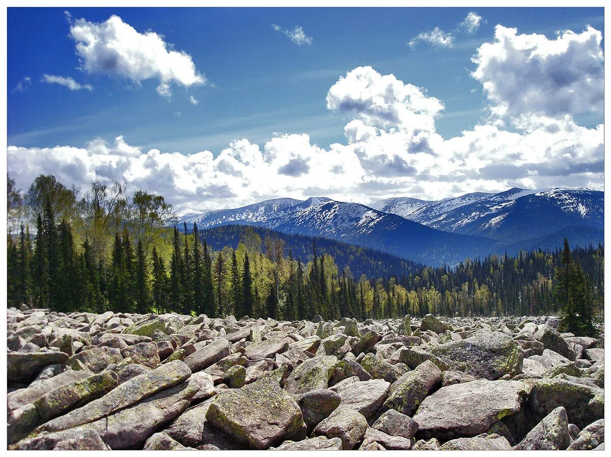 Восточные саяны бурятия. Курумы кузнецкого алатау. Кузнецкий. Шорский национальный парк кемеровская область. Саянские горы хакасия.