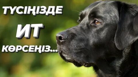 Үлкен бөбектер порно онлайн