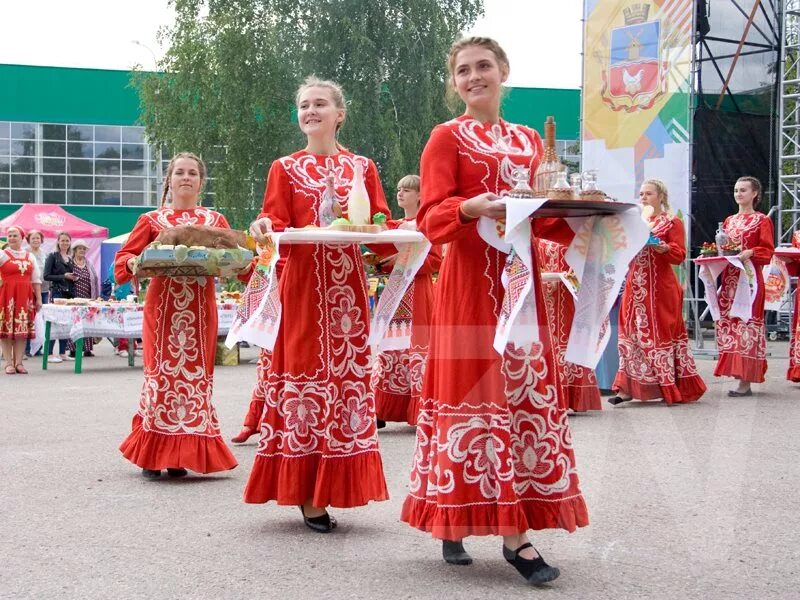 Погода в володарске нижегородской области на неделю. Володарский район Нижегородская область. Володарск Нижегородская область. Володарск Нижегородская область день города. Володарск день города.