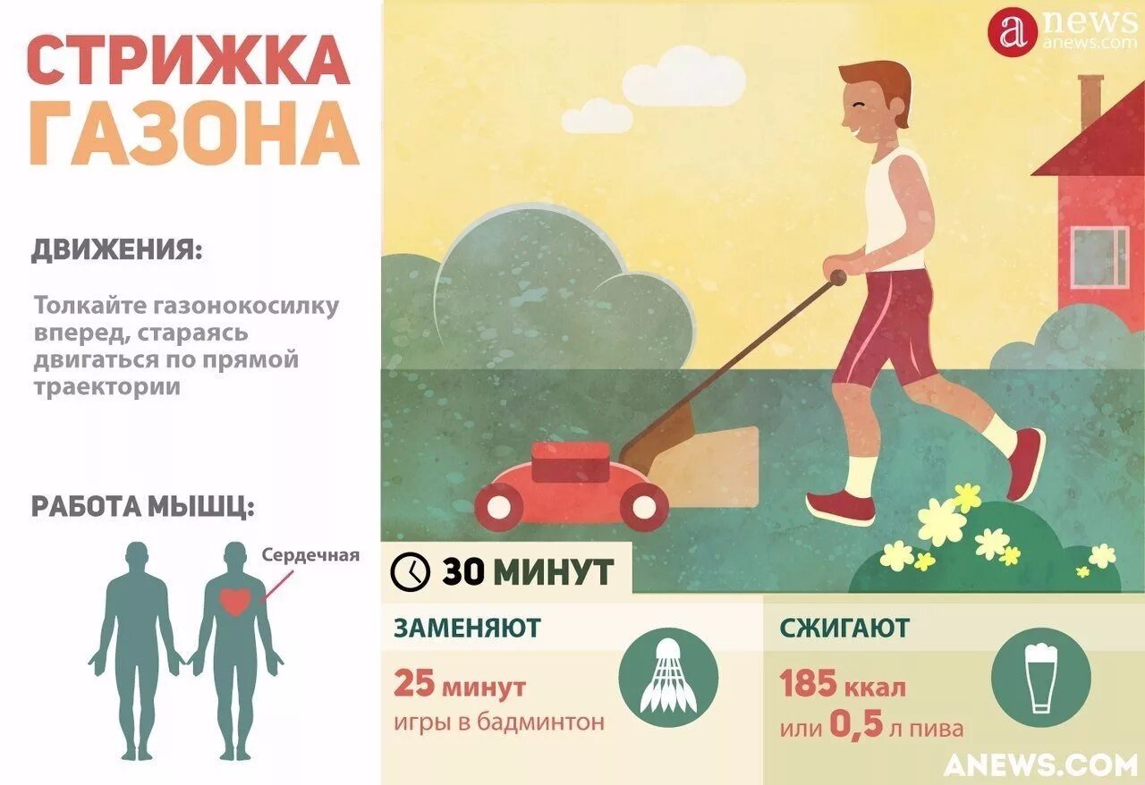 Мышцы сжигают калории