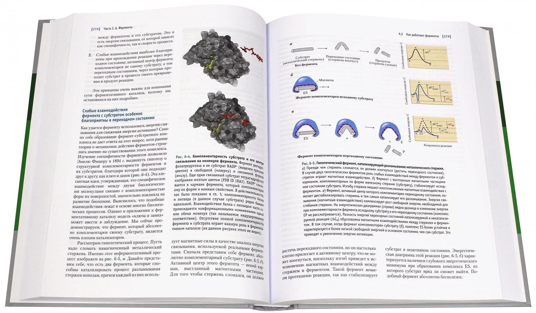 Ленинджер фото в молодости. Филиппович биологическая химия. Нельсон биохимия. Нельсон кокс основы биохимии ленинджера. Legend biochemistry photo.