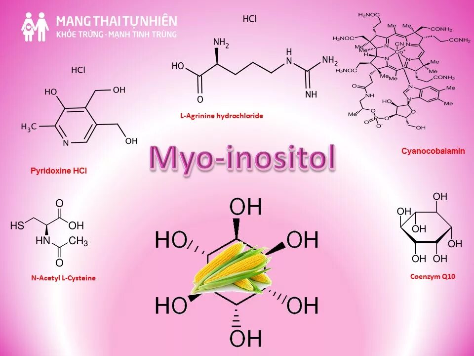 Инозит Мио-инозитол. Мио инозитол 1000. Мио-инозитол эффекты. Fairhaven Health Мио-инозитол. Инозитол фолиевая кислота