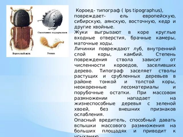 Дератизация и дезинсекция в Октябрьском административном округе: 76 дезинфекторо