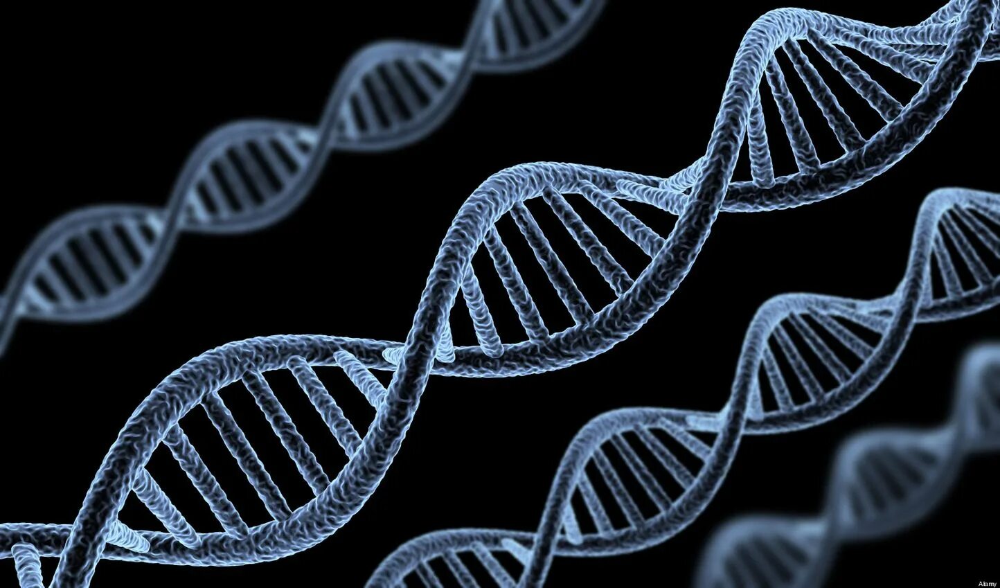 ДНК DNA. Геномная ДНК. Генетика це. Дезоксирибонуклеиновая кислота ДНК рисунок. Днк без рекламы ютуб