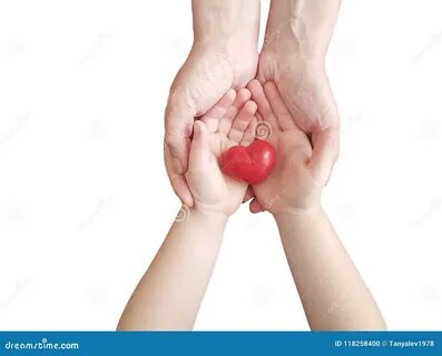 Holding n