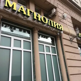 Магнолия кутузовский