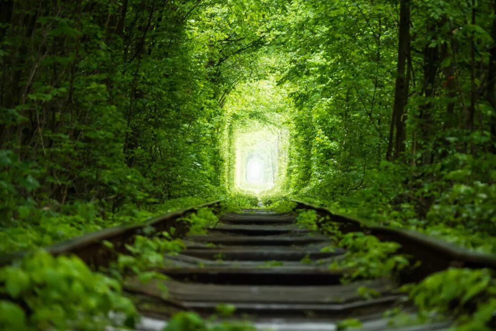 Клевань, ривненская обл. ). Клевань тоннель любви. Клевань, ривненская обл. Тоннель любви в городе клевань.