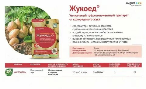 Жукоед как разводить