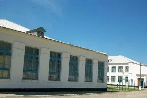Станица 5