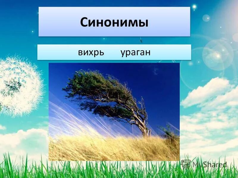 Вихрь синоним. Буря синоним. Синоним к слову скупой. Горизонтальное движение воздуха это. Облако слов.