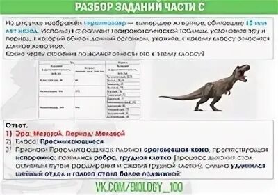 Егэ биология 11 класс 2024 год