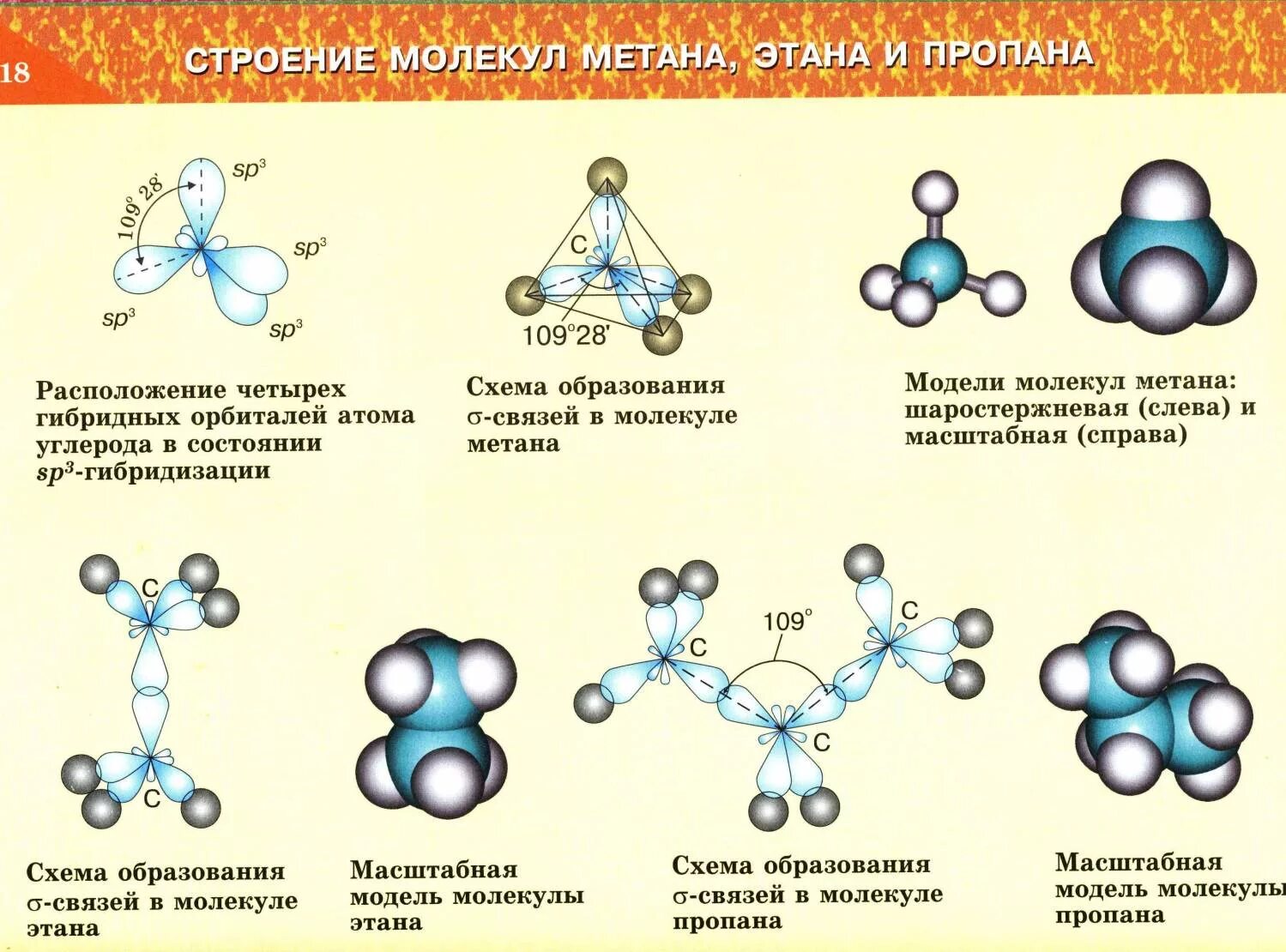 На рисунке изображены молекулы. Пространственное строение молекул метана и этана. Пространственное строение молекулы пропана. Схема строения молекулы пропана. Схема электронного строения молекулы метана.