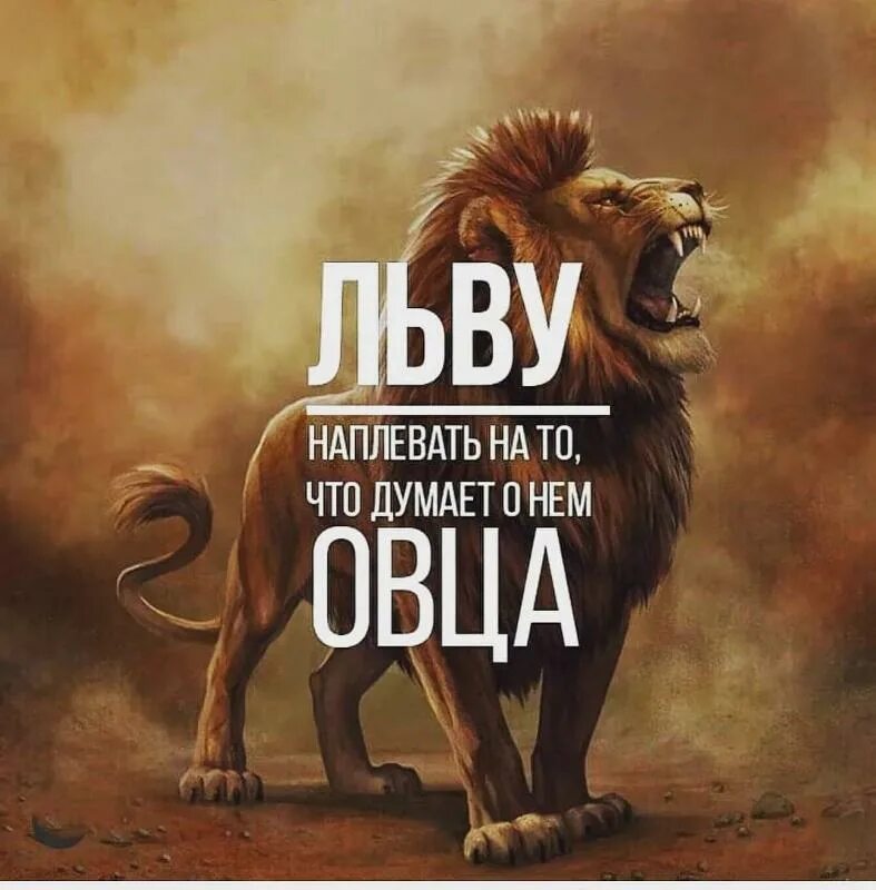 Продолжите фразу льва. Лев цитаты. цитаты про львов. афоризмы про львов. высказывания про льва.