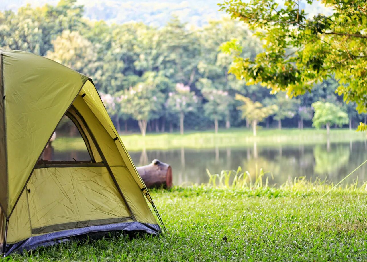 Camping 11 11. Палатка. Палатка на природе. Палатка туристическая. Отдых на природе с палатками.