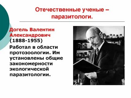 Отечественные ученые