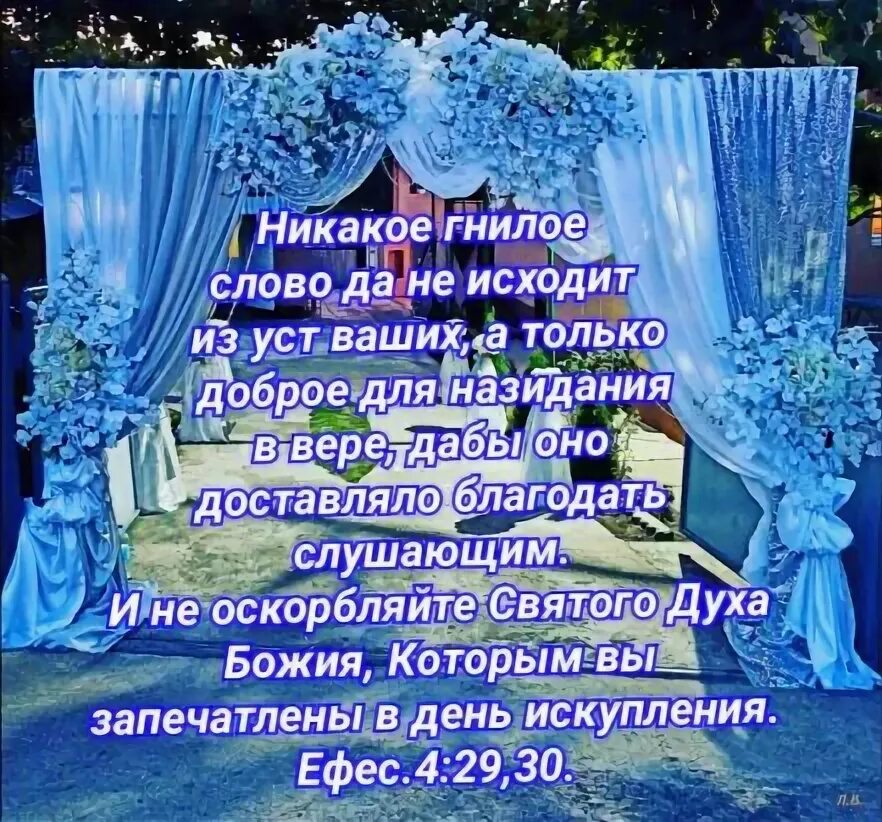 Никакое гнилое слово не исходит из уст ваших. Никакое гнилое слово да не исходит из уст ваших еф 4 29. Никакое гнилое слово не исходит из уст ваших библия. Никакое гнилое слово да. Никакое гнилое слово.