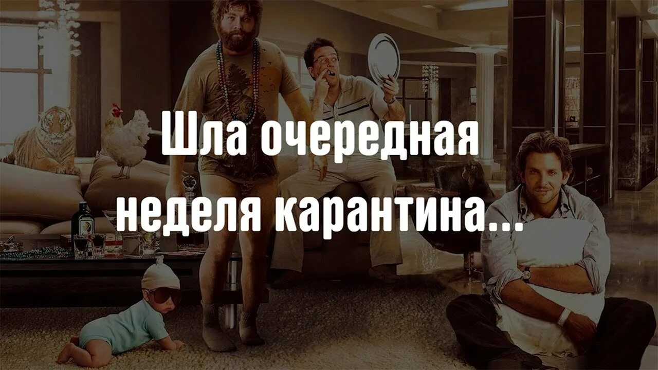 Идти карантин. Шел день карантина картинки. Шла неделя карантина. Смешные приколы про карантин в школе. Карантин.