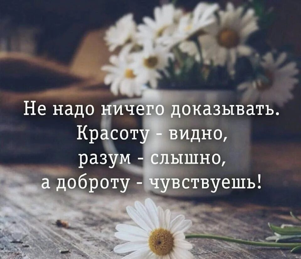 И ничего не надо просто будь. Не надо ничего доказывать. Красота и доброта цитаты. Цитаты о красоте жизни. Никогда ничего не надо доказывать.