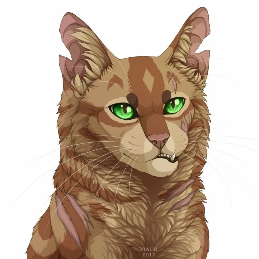 Котом метеор. Коты воители метеор. crookedstar коты воители. vialir коты воители art. метеор коты воители арт.