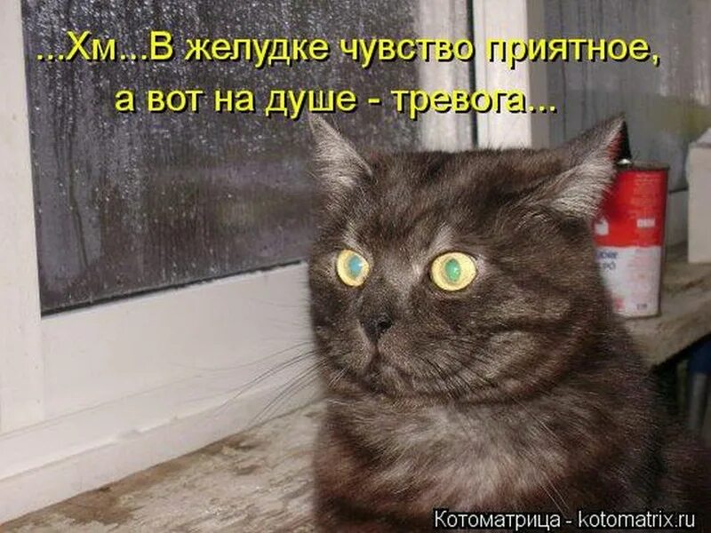 Приятное ощущение 4