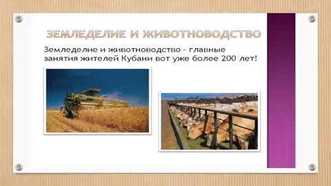 Занятия жителей поднебесной