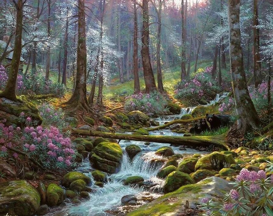 Лесная река. Ручей пейзаж. Ручей в лесу. Ручей пейзаж. Река, горы, лес, river, mountains, forest.