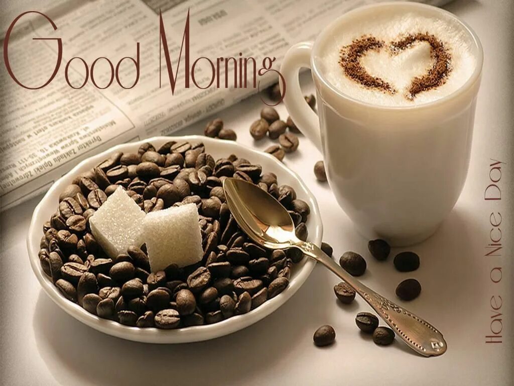 Доброе предоброе утро. Декоративная плитка good morning. тайский доброе-предоброе утро. доброе предоброе утро в суде.
