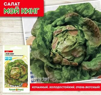 Семена король кинг