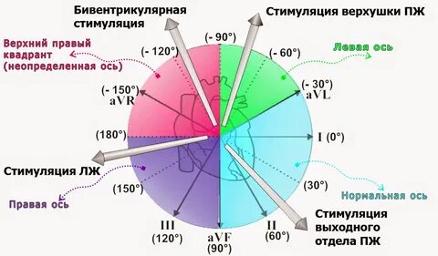 Правые отведения