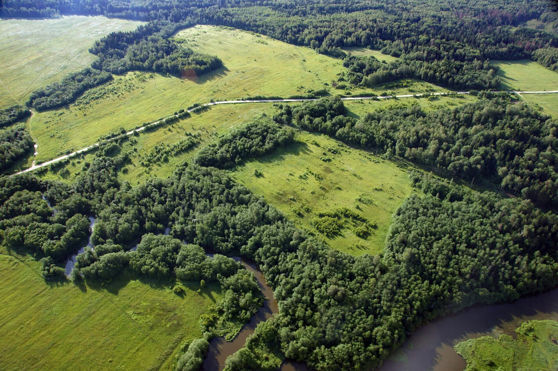 леса на с х землях. поле пашня. деревья на сельскохозяйственных землях. леса на с х землях. леса на с х землях.