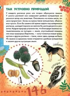 Тайна растений
