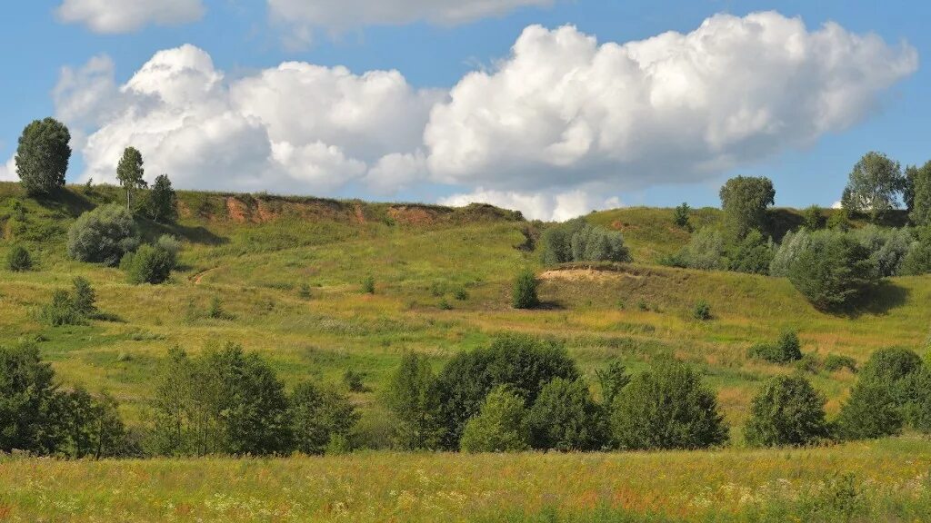 окрестности бенаково. сарапульский район деревня костино. шеребуть крестецкий район. дорога проселочная углич. деревенские окрестности.